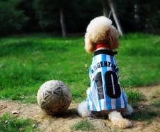 海森韦特品质管控体系：严控细节，铸就可靠产品